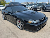 All vehicles come with a full vehicle History Report, ask to see it! 2003 Ford Mustang SVT 10th anni... (image 3)