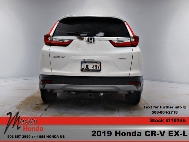 2019 Honda CR-V EX-L in Cars & Trucks in Moncton - Image 4