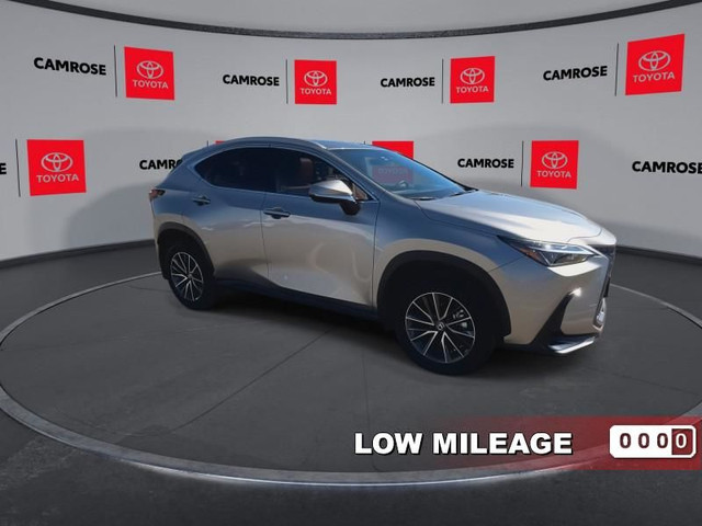 2024 Lexus NX 350h - Hybrid - Navigation - Heated Seats in Cars & Trucks in Edmonton - Image 2