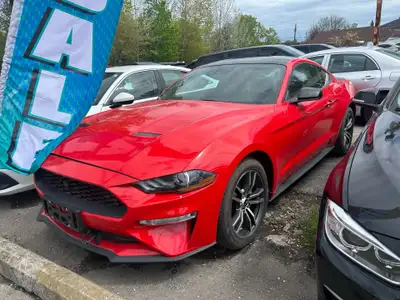 2021 FORD MUSTANG PAYLESS MOTORS Please call or text 4 1 6 9 3 1 7 6 8 6 call us 4 1 6 26 4 1 3 0 0...