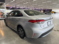 Toyota Corolla Hybrid 2024 – Grise, 13 325 km! Économique en carburant. Respectueuse de l’environnem... (image 7)