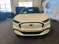 Welcome to the BRAND NEW 2024 FORD MUSTANG MACH-E PREMIUM RWD, powered by a 91KWH USABLE EXT BATTERY... (image 2)