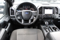NO ACCIDENT Introducing The 2019 Ford F-150 XLT Sport 4WD SuperCrew With Its 3.5L PowerBoost V6 Engi... (image 9)