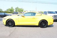 NO ACCIDENT Unleash the thrill of the open road with the 2015 Mustang GT 5.0L V8 Premium Coupe 6 Spe... (image 3)