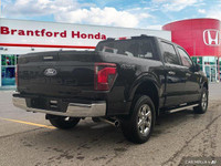 Dominate any terrain with this powerful 2024 Ford F-150 XLT Crew Cab. This black beauty boasts a rob... (image 5)