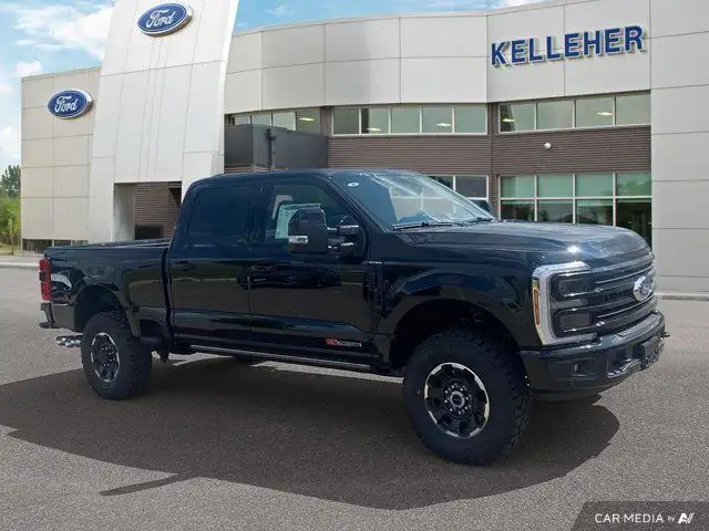 2025 Ford Super Duty F-350 SRW Platinum in Cars & Trucks in Brandon - Image 8