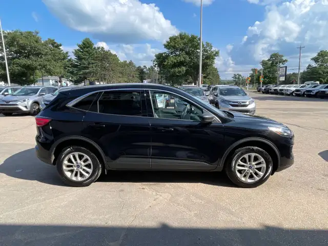 2022 Ford Escape SE -Carfax Clean-Heated Seats-Backup Camera-62939425604097124