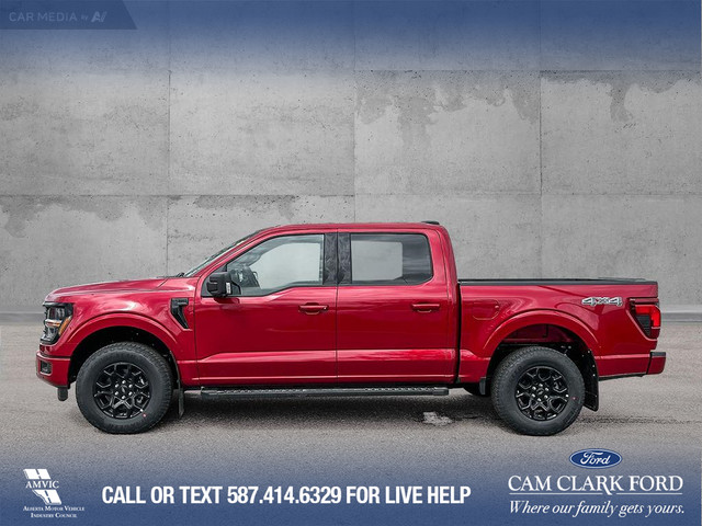 2025 Ford F-150 XLT in Cars & Trucks in Calgary - Image 4