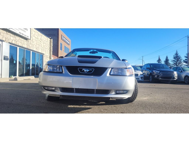  1999 Ford Mustang 2dr Convertible GT/35TH ANNIVERSARY/LEATHER S in Cars & Trucks in Calgary - Image 3