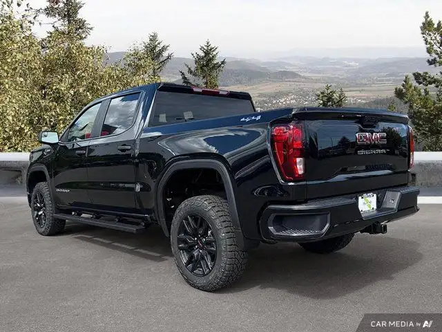 2025 GMC Sierra 1500 Pro in Cars & Trucks in Cowichan Valley / Duncan - Image 5