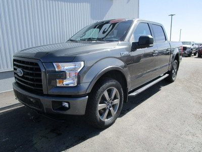 2015 Ford F-150 FX4 