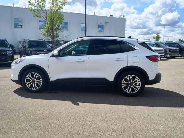 2020 Ford Escape SEL | Awd | Sunroof | Cross-traffic Alert in Cars & Trucks in Edmonton - Image 2