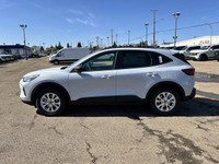 **WE WILL BEAT ANY FORD DEALER IN THE CITY** Built for drivers who crave excitement and versatility,... (image 3)
