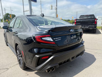 Do not miss out on this low mileage, locally owned and traded and originally bought here 2024 Sport-... (image 6)