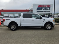 2023 Ford F-150 XLT 4WD SuperCrew 5.5' Box, 3.3L V6 Gas, XTR Package, FX4 Off Road Package, Trailer... (image 6)