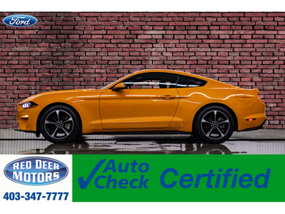  2019 Ford Mustang BCam
