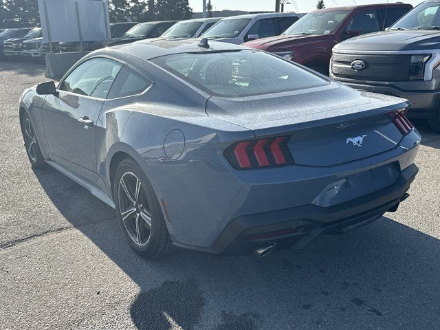 2025 Ford Mustang EcoBoost FASTBACK in Cars & Trucks in Calgary - Image 2