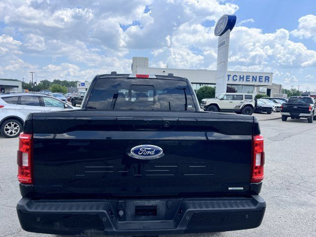 2021 Ford F-150 XLT in Cars & Trucks in Kitchener / Waterloo - Image 4
