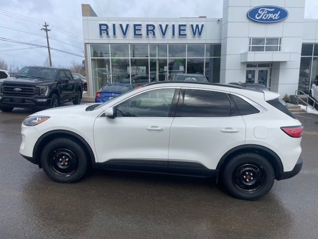  2020 Ford Escape TITANIUM HYBRID in Cars & Trucks in Fredericton - Image 2