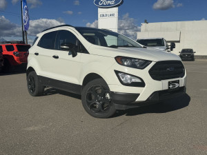 2021 Ford EcoSport SES