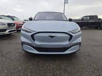 Employee Pricing on now! You pay what we pay on every New and Used Vehicle at Maclin Ford - Calgarys... (image 2)