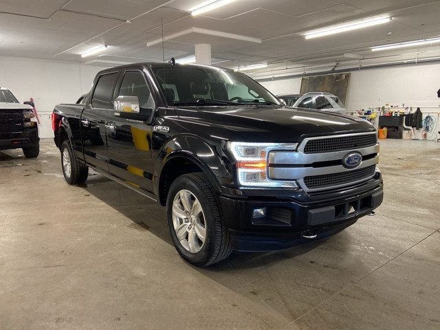 2020 Ford F-150 Platinum 6.5' Box PANO ROOF TECH PKG LOADED! in Cars & Trucks in Calgary - Image 3