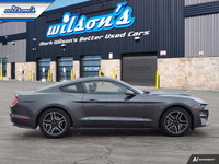 Look at this certified 2020 Ford Mustang EcoBoost Premium Coupe | 6-Speed Manual | Leather | Nav | C... (image 5)