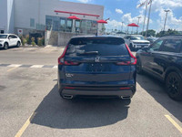 Come visit our London Honda team, you can find us at 560 Wharncliffe Rd S, London, ON, N6J 2N4, or c... (image 4)
