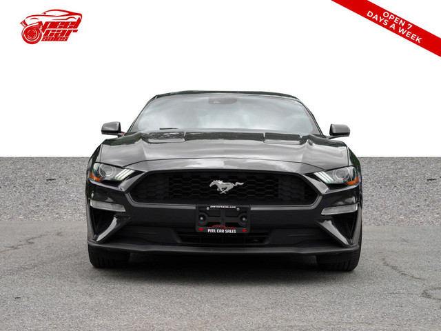 2023 Ford Mustang EcoBoost, Apple Carplay, Backup Camera, Alloys in Cars & Trucks in Mississauga / Peel Region - Image 2