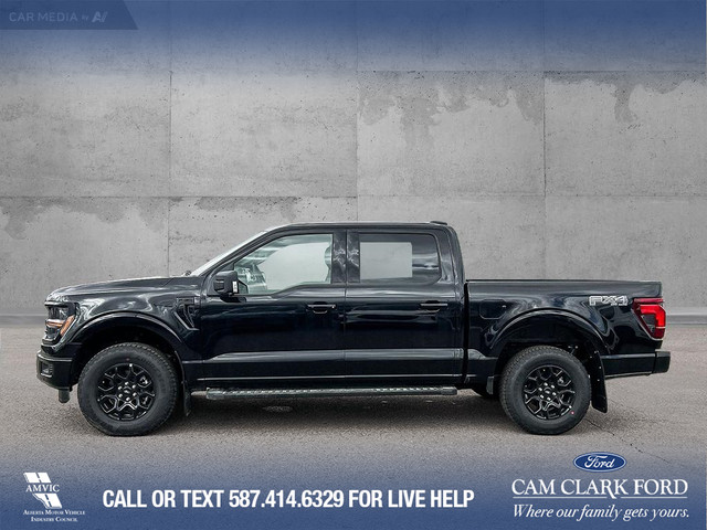 2025 Ford F-150 XLT in Cars & Trucks in Calgary - Image 4