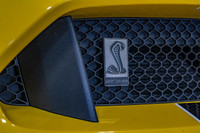 SHELBY - 5.2L V8 FLAT CRANK - 526 HP - BREMBO Brakes - Premium LEATHER Interior - NAVIGATION - TOUCH... (image 9)