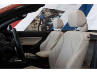 2021 BMW 2 Series M240i AWD 8-Speed Automatic Sport 3.0L I6 DOHC 24V TwinPower Turbo EXTERIOR - SUNS... (image 8)