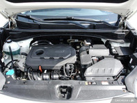 Wheels: 18 Alloy, Vinyl Door Trim Insert, Variable Intermittent Wipers w/Heated Wiper Park, Trunk/Ha... (image 7)