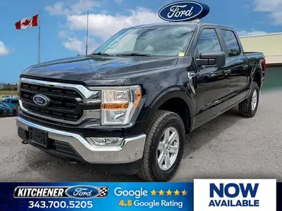 This Ford F-150 boasts a Regular Unleaded V6 3.5 L EcoBoost engine powering this Automatic transmiss...