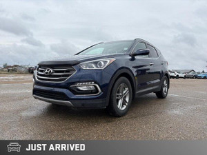 2017 Hyundai Santa Fe Premium