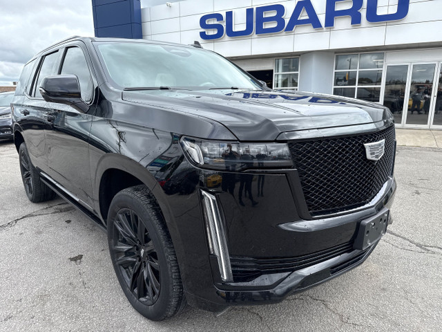 2022 Cadillac Escalade Sport Platinum Sport Platinum in Cars & Trucks in Markham / York Region - Image 2