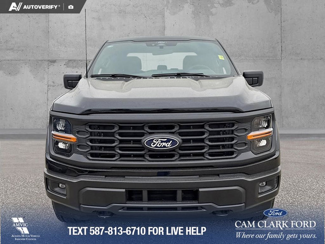 2025 Ford F-150 STX in Cars & Trucks in Red Deer - Image 2