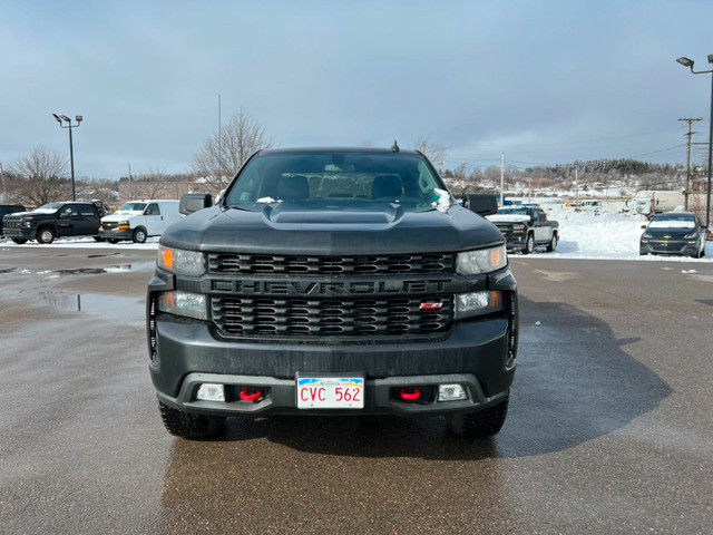 2019 Chevrolet Silverado 1500 Custom Trail Boss in Cars & Trucks in Saint John