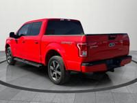 This 2017 Ford F-150 SuperCrew XLT offers power, space, and reliability in one of Canada’s best-sell... (image 3)