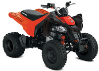 2023 Can Am DS250 4ST