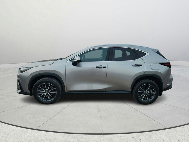 2024 Lexus NX 350 Accident Free One Owner Sunroof Blind Spot Mo in Cars & Trucks in Ottawa - Image 2