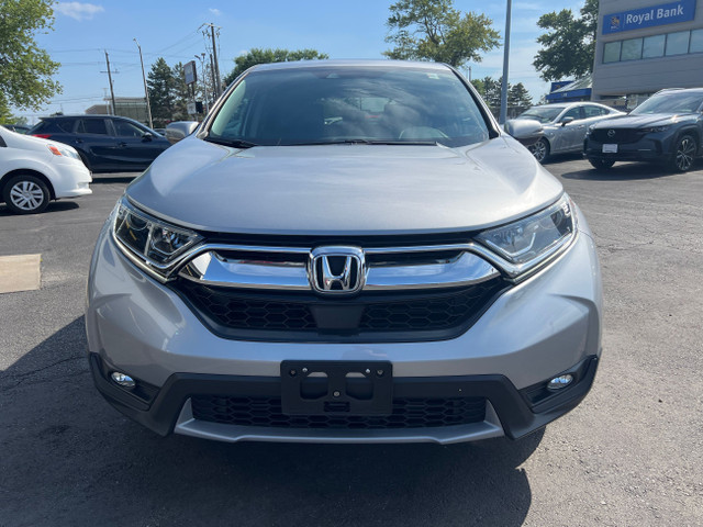 2019 Honda CR-V in Cars & Trucks in Brantford - Image 2