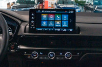 4X4, Cuir, Nav, Toit, Carplay, Bluetooth, Caméra, Phares à DEL, Jantes, Bouton de démarrage, Acces s... (image 7)