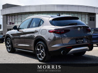 Come see all this and more at the Alfa Romeo of Winnipeg dealership, in the Waverley AutoMall. Deale... (image 3)