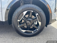 *All pictures are an accurate representation of vehicle being sold. Southland Kia is a Licensed AMVI... (image 8)