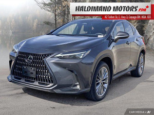 2023 Lexus NX 350 NX 350
