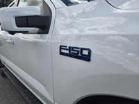 DEMO SPECIAL!!!!! This Brand New STAR WHITE METALLIC TRI-COAT 2024 FORD F-150 LIGHTNING PLATINUM is... (image 4)