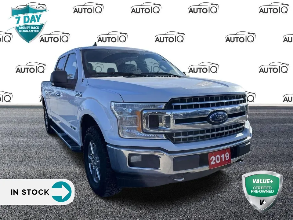 2019 Ford F-150 XLT RECENT ARRIVAL | LOW KMS |