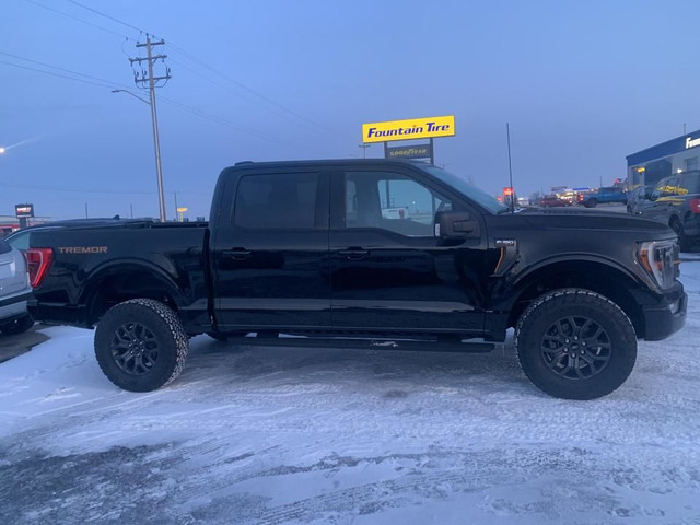 2023 Ford F-150 F-150 Tremor in Cars & Trucks in Edmonton - Image 4