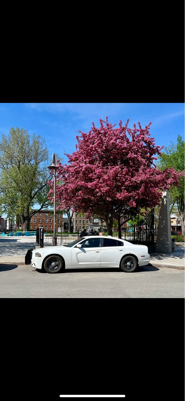 2011 Dodge Charger Police Pack Cars & Trucks Québec City Kijiji